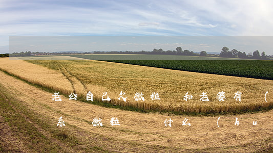 老公自己欠微粒貸和老婆有關(guān)系嗎(微粒貸為什么會(huì)有我老公號(hào)碼)