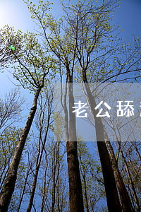老公舔過他前女友