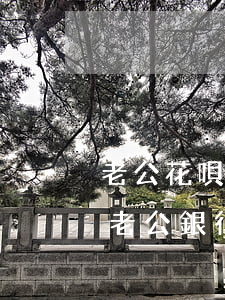 老公花唄逾期影響征信(妻子花唄逾期,會影響老公銀行貸款嗎)
