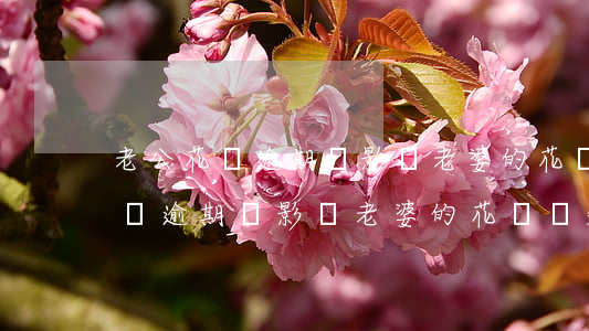 老公花唄逾期會影響老婆的花唄嗎-老公花唄逾期會影響老婆的花唄嗎知乎