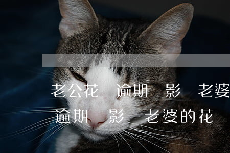 老公花唄逾期會影響老婆的花唄嗎(老公花唄逾期會影響老婆的花唄嗎怎么辦)