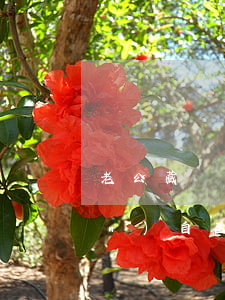 老公藏錢該不該離婚(發(fā)現(xiàn)自己老公藏錢怎么辦)