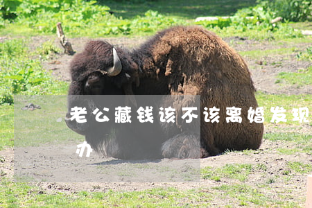 老公藏钱该不该离婚(发现自己老公藏钱怎么办)