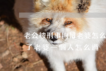 老公被刑事拘留老婆怎么問律師(老公被刑拘了,老婆一個人怎么過)