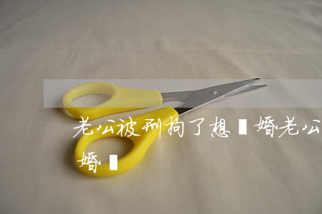 老公被刑拘了想離婚(老公坐牢我可以提出離婚嗎)