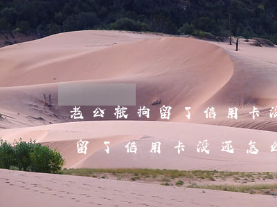 老公被拘留了,信用卡没还怎么办-老公被拘留了,信用卡没还怎么办呢