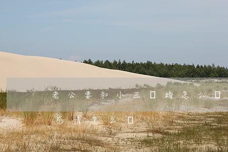 老公要和小三結婚怎么辦(老公和小三有了真感情怎么辦)