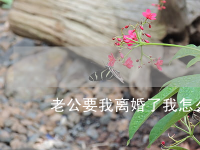 老公要我离婚了我怎么办