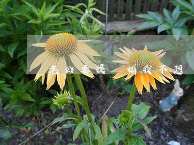 老公要提離婚我不想離怎么辦