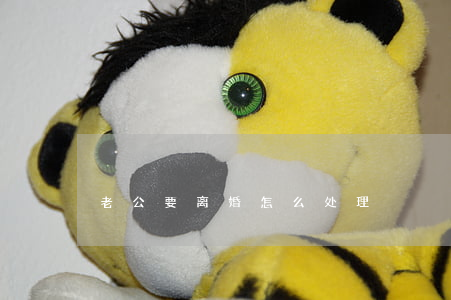 老公要离婚怎么处理