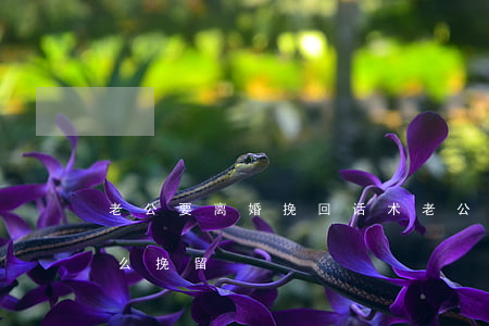 老公要离婚挽回话术(老公要跟我离婚我要怎么挽留)