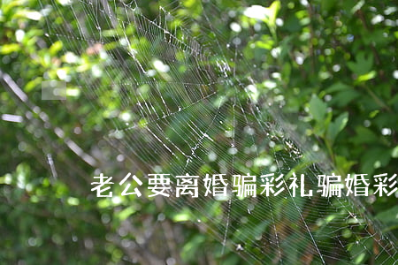 老公要离婚骗彩礼(骗婚彩礼钱怎么追回)
