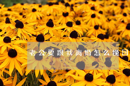 老公要跟我离婚怎么挽回