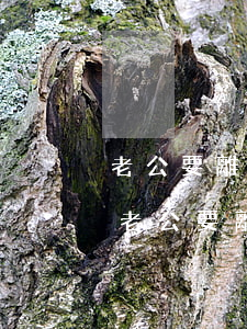 老公要離婚卻一直逃避不聯(lián)系(老公要離婚為什么要躲起來不聯(lián)系)
