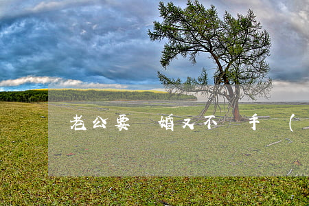 老公要離婚又不辦手續(xù)我該怎么辦