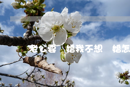 老公要離婚我不想離婚怎么辦