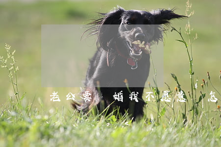 老公要離婚我不愿意該怎么做