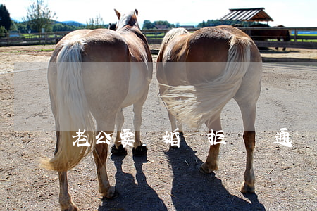 老公要離婚還拒絕溝通