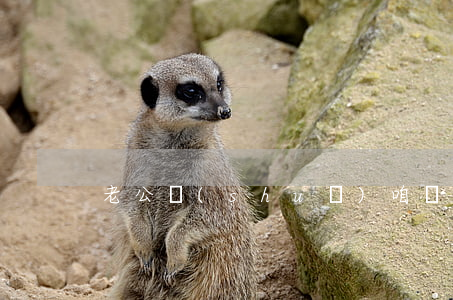 老公說(shuō)咱倆離婚