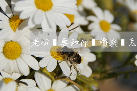 老公說要和你離婚我該怎么辦