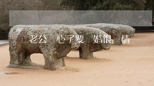 老公變心了要離婚很絕情