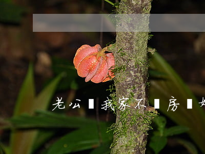 老公讓我家不買房離婚怎么辦