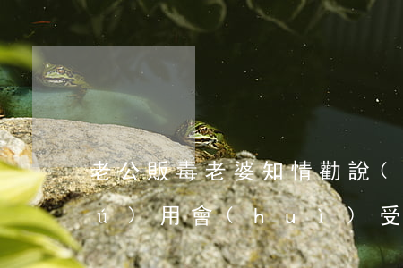 老公販毒老婆知情勸說(shuō)無(wú)用會(huì)受牽連嗎(丈夫販毒妻子會(huì)受牽連嗎)