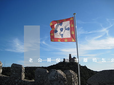 老公買保險想離婚怎么辦