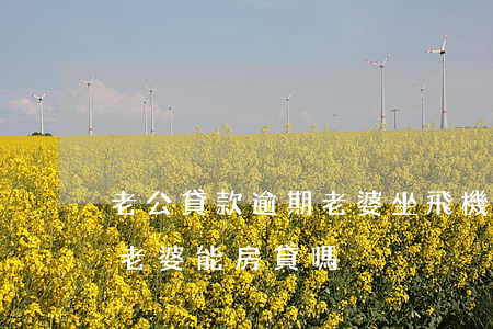 老公貸款逾期老婆坐飛機(jī)(老公逾期老婆能房貸嗎)