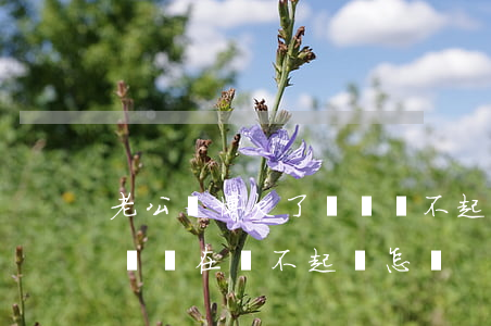老公賭博欠了網貸還不起怎么辦(老公貸款賭錢 現在還不起 會怎樣?)