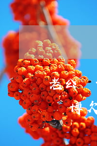 老公賭博欠的網(wǎng)貸還不起(老公賭博欠的網(wǎng)貸還不起)