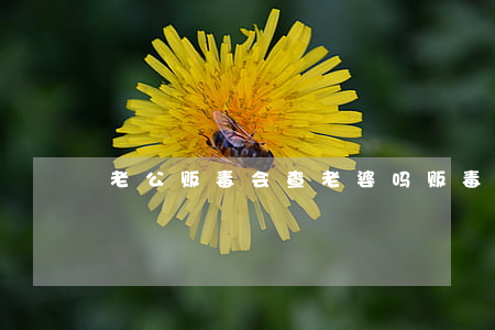 老公贩毒会查老婆吗(贩毒人员的老婆会怎样)