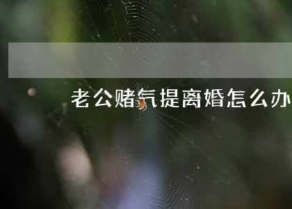 老公赌气提离婚怎么办