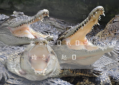 老公起訴我離婚我不想離怎么辦(老公不愿離婚怎么起訴)