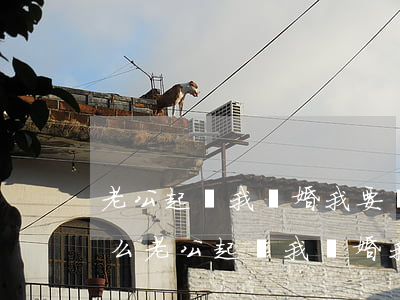 老公起訴我離婚我要準(zhǔn)備些什么(老公起訴我離婚我要準(zhǔn)備些什么)
