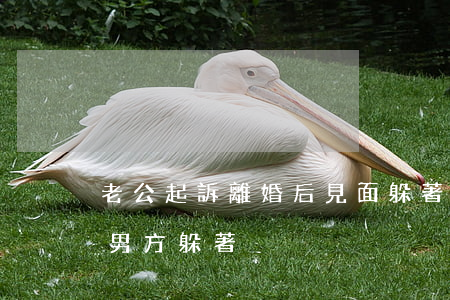 老公起訴離婚后見面躲著我(起訴離婚兩次了男方躲著)