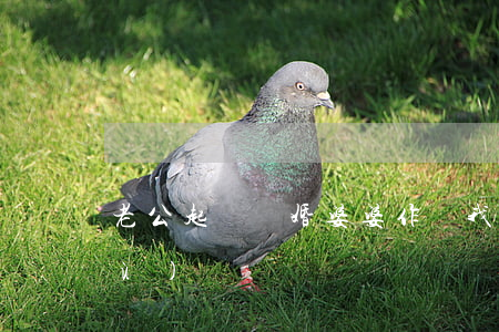 老公起訴離婚婆婆作證我倆分居算數(shù)嗎