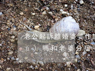 老公起訴離婚婆婆作證我倆分居算數(shù)嗎(和老婆分居一年多了我要離婚怎么起訴)