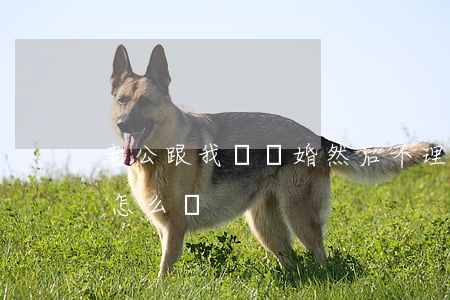 老公跟我說離婚然后不理我(老公跟我說離婚,怎么辦)