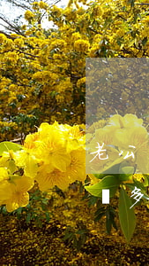老公辦了許多信用卡欠了很多錢-老公辦了許多信用卡欠了很多錢怎么辦