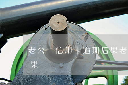 老公辦信用卡逾期后果（老公辦信用卡逾期后果）