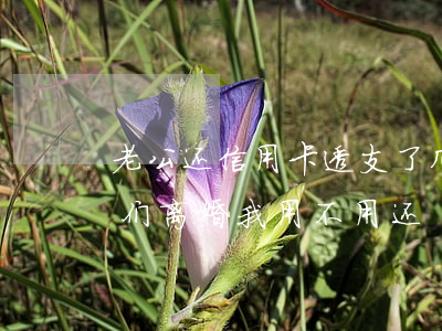 老公还信用卡透支了几万(老公欠信用卡钱我们离婚我用不用还)