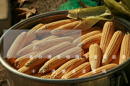 老公透支信用卡老婆能還嗎(老公透支的信用卡不還,要老婆還嗎)