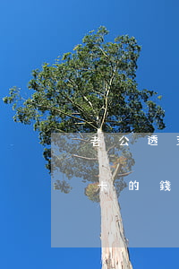 老公透支老婆信用卡怎么辦(老公套老婆信用卡的錢可以報警嗎)