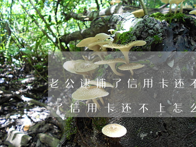 老公逮捕了信用卡还不上怎么办-老公逮捕了信用卡还不上怎么办