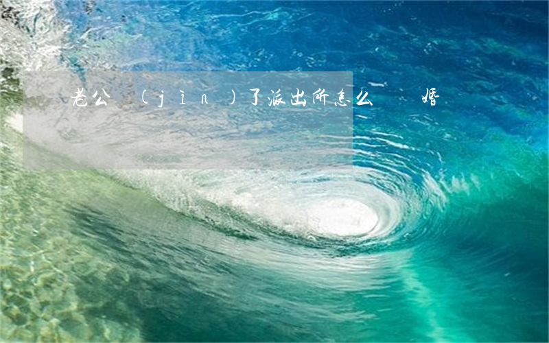 老公進(jìn)了派出所怎么辦離婚