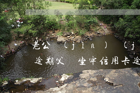 老公進(jìn)監(jiān)獄信用卡逾期（父親坐牢信用卡逾期）