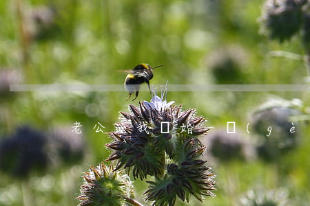 老公逼我離婚一個(gè)月怎么辦