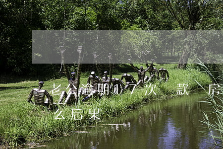 老公逾期17次貸款買房(房貸逾期18次什么后果)