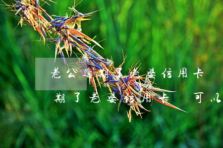 老公逾期了老婆信用卡還可以用嗎-老公逾期了老婆信用卡還可以用嗎怎么辦